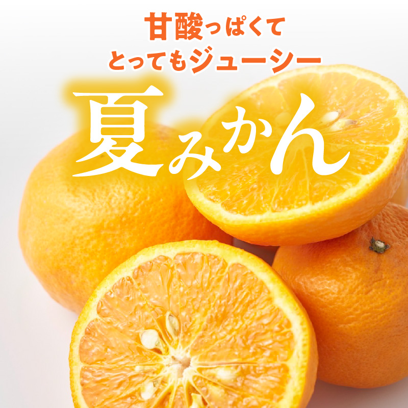 ZE6506_【2026年先行予約】和歌山県産　夏みかん　3kg　家庭用