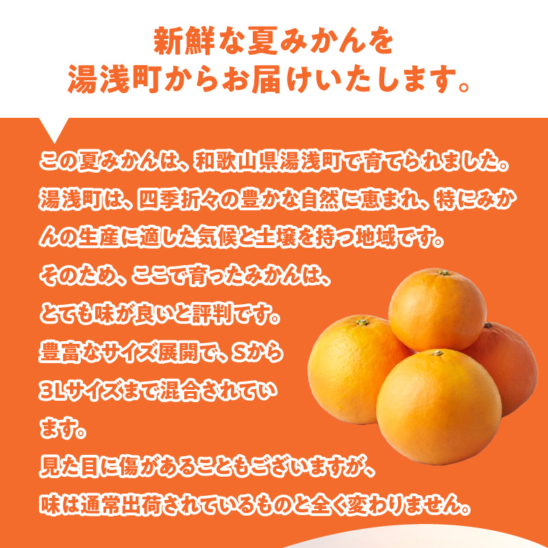 ZE6506_【2026年先行予約】和歌山県産　夏みかん　3kg　家庭用