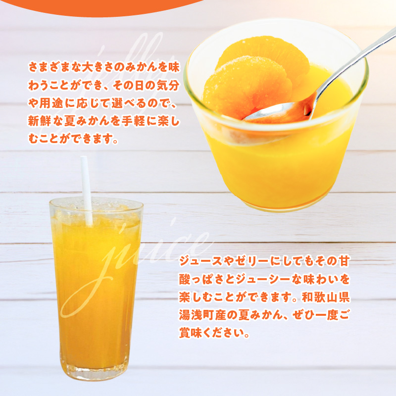 ZE6506_【2026年先行予約】和歌山県産　夏みかん　3kg　家庭用