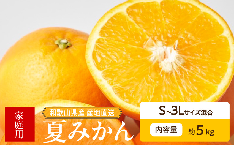 ZE6507_【2026年先行予約】和歌山県産　夏みかん　5kg　家庭用