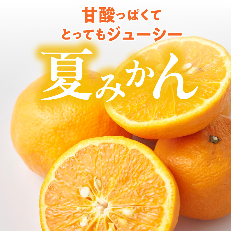ZE6507_【2026年先行予約】和歌山県産　夏みかん　5kg　家庭用