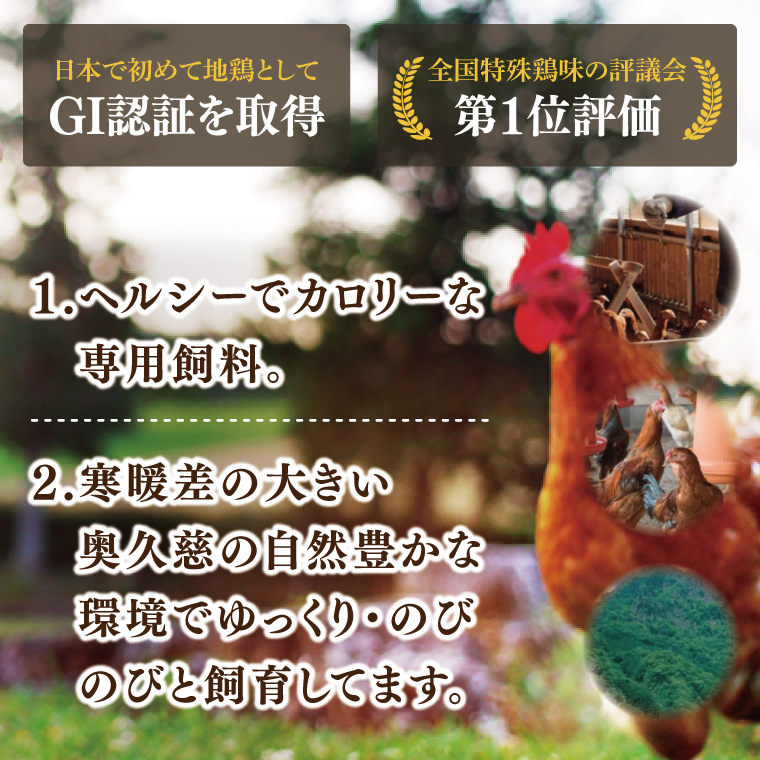 奥久慈しゃも鍋つゆ 700g×3個 ストレートタイプ（3～4人前）｜茨城県 大子町 かつお節 鶏がら お鍋 簡単鍋 冬 鍋つゆ しゃも 鍋 だし(AR017)