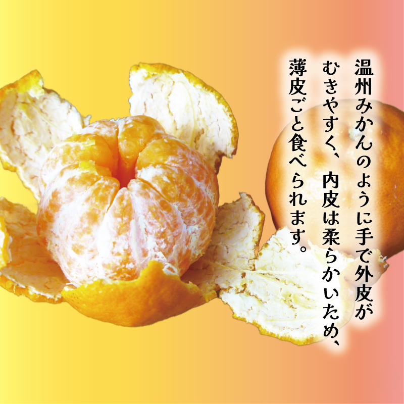 数量限定 先行予約 お試し用 訳あり ポンカン 3kg 7000円 みかん mikan 蜜柑 ミカン わけあり ぽんかん 産地直送 国産 農家直送 糖度 期間限定 特産品 ゼリー ジュース アイス 冷凍 みかん 等に 人気 限定 甘い フルーツ 果物 柑橘 ジューシー 小玉 含む 規格外 サイズ ミックス お試し 試供品 お試し品 少量 吉田農園 愛南町 愛媛県