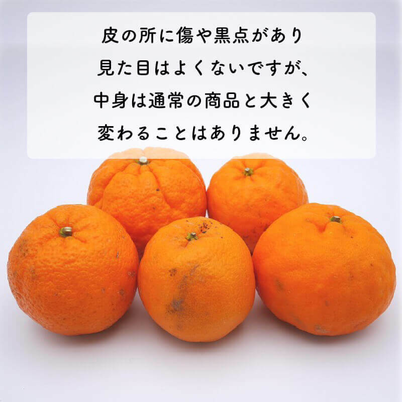 数量限定 先行予約 お試し用 訳あり ポンカン 3kg 7000円 みかん mikan 蜜柑 ミカン わけあり ぽんかん 産地直送 国産 農家直送 糖度 期間限定 特産品 ゼリー ジュース アイス 冷凍 みかん 等に 人気 限定 甘い フルーツ 果物 柑橘 ジューシー 小玉 含む 規格外 サイズ ミックス お試し 試供品 お試し品 少量 吉田農園 愛南町 愛媛県