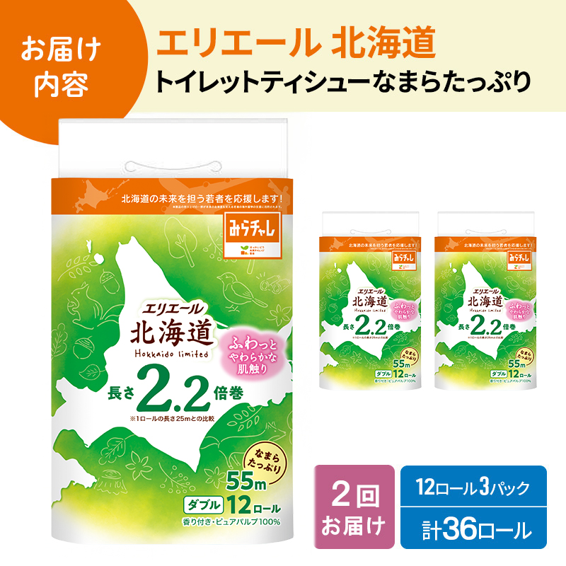 定期便 2ヵ月連続お届け エリエール ハーフサイズ 収納に便利 コンパクト 少量3パック [アソートY] 北海道 トイレット ダブル 55m 12ロール 3パック なまらたっぷり 2.2倍巻 トイレットペーパー 大容量 まとめ買い