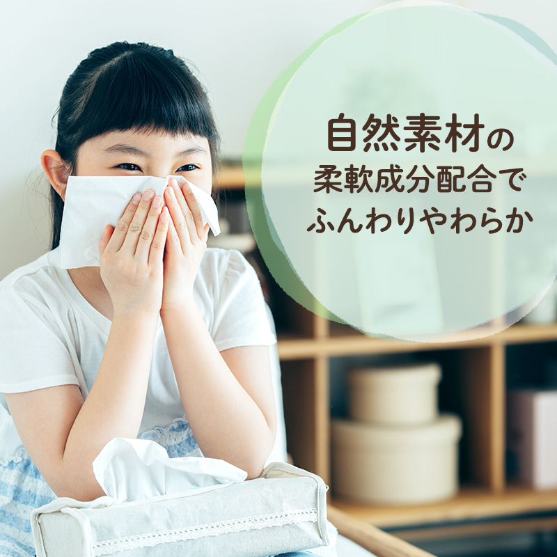 定期便 2ヵ月連続お届け エリエール ハーフサイズ 収納に便利 コンパクト 少量5パック [アソートX] 北海道ティシュー 300組 5箱×5パック 計25箱 なまらたっぷり 大容量  防災 常備品 備蓄品 消耗品 日用品