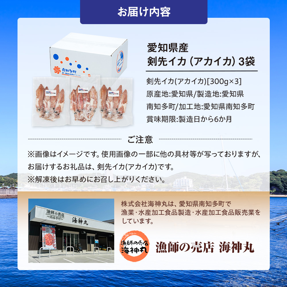 愛知県産　剣先イカ(アカイカ)3袋