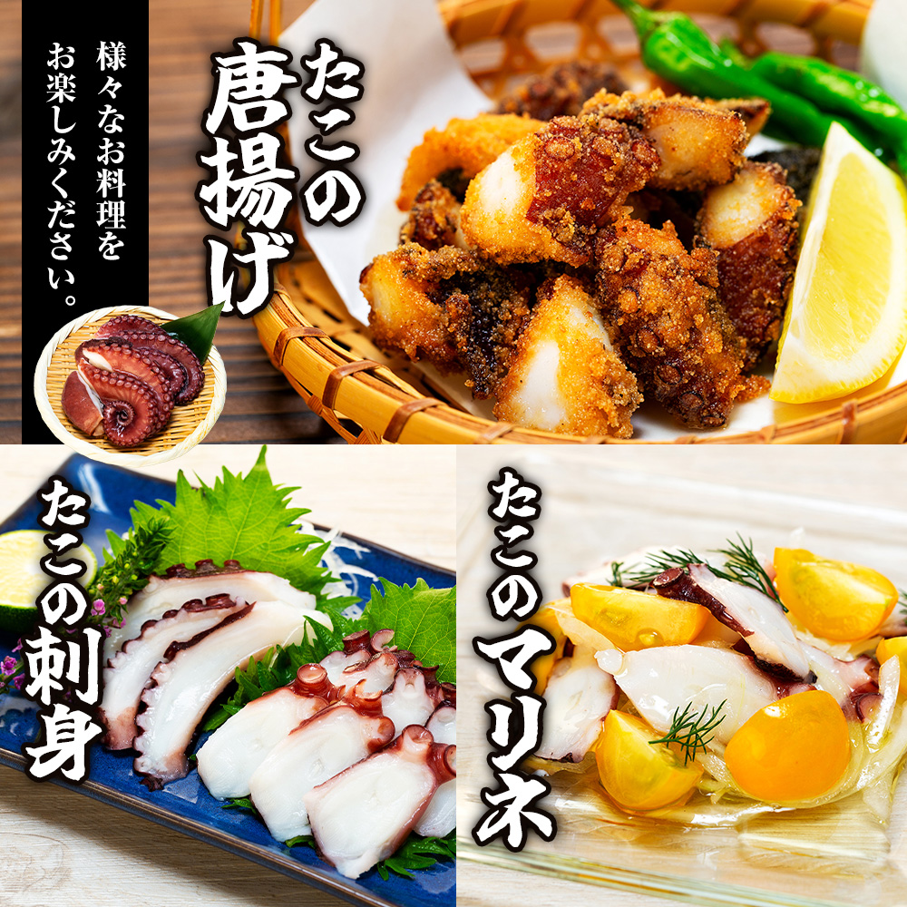 地だこボイル ５パック (100g×5) 冷凍 たこ 海鮮 海産物 たこ飯 たこ焼き アヒージョ たこ唐揚げ おつまみ お酒 ご飯 おかず 自家製チョジャン付き おすすめ 人気 愛知県 南知多町