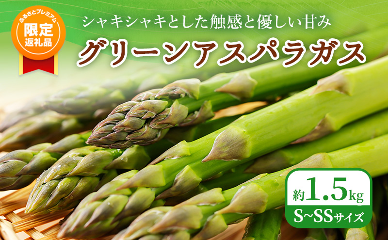 [ふるプレ限定品]ふらの グリーンアスパラ 約1.5kg S〜SSサイズ [ 数量限定 先着順 アスパラ アスパラガス 野菜 新鮮 直送 北海道 富良野 ]