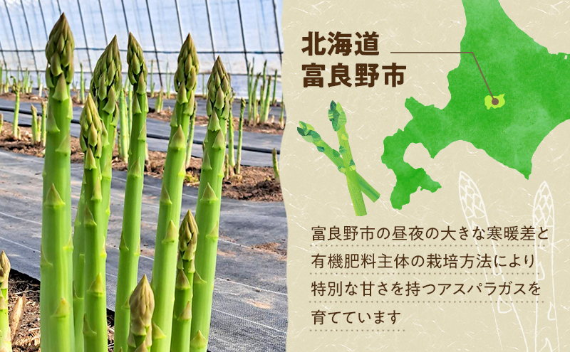 【2026年4月～発送】朝採り 富良野市 グリーン アスパラ Lサイズ  約1kg  (仁田原ファーム) 野菜 新鮮 直送 朝採り アスパラガス 道産 北海道 ふらの
