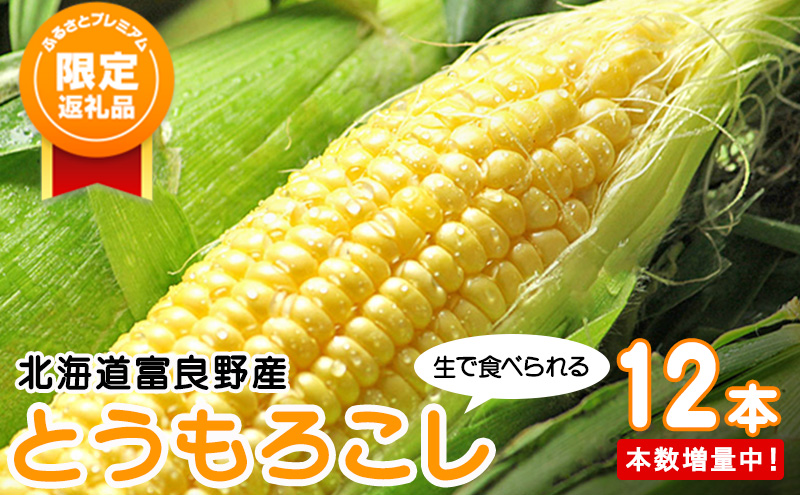 [ふるプレ限定品] 北海道富良野産 生で食べられる とうもろこし[恵味(めぐみ)] 12本 (スイートベジタブルファクトリー) とうきび コーン 野菜 新鮮 甘い ジューシー 贈り物 ギフト 道産 直送 ふらの