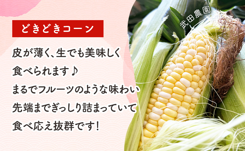 2026年夏発送！【ふるプレ限定品】スイートコーン どきどきコーン 2L 12本 ［武田農園とれたて直送］北海道 富良野産 とうもろこし 野菜 新鮮 とうきび 甘い 産地直送 先行予約 限定