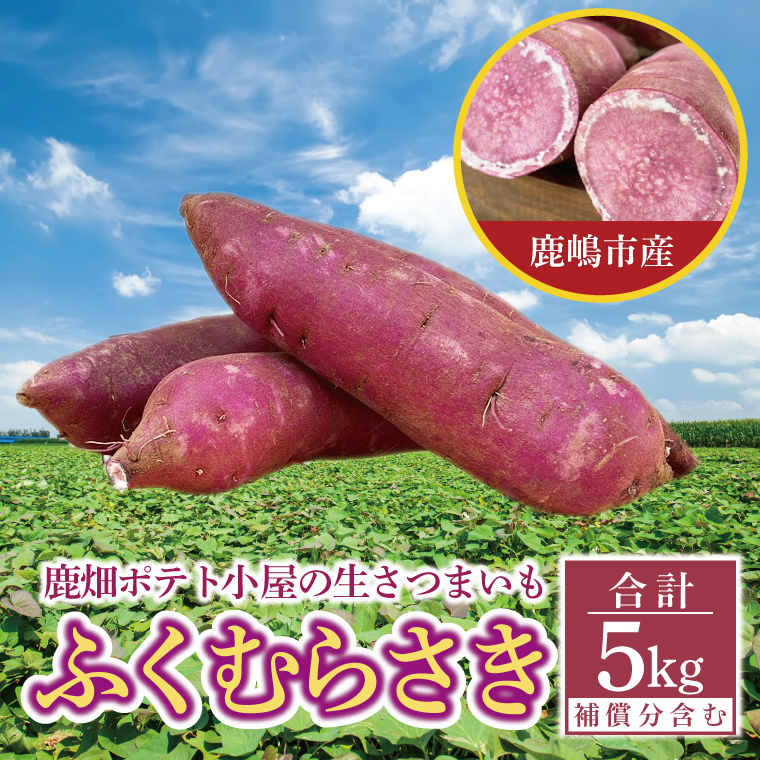 【茨城県鹿嶋市】【先行予約】鹿畑ポテト小屋の生さつまいも ふくむらさき 計 約5kg(4kg+約25%補償分)【鹿嶋市 減農薬 熟成 貯蔵 サツマイモ 紫いも 甘い 5キロ 10000円以内 1万円以内】 (KBR-12)