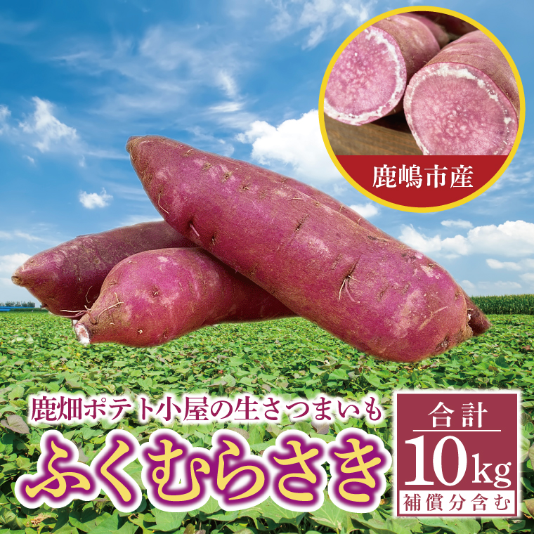 【先行予約】鹿畑ポテト小屋の生さつまいも ふくむらさき 計 約10kg（８kg+約25％補償分）【鹿嶋市 減農薬 熟成 貯蔵 サツマイモ 紫いも 甘い 10キロ 15000円以内】 (KBR-13)