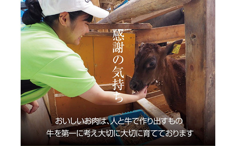 京都もり牛 食べ比べ 焼肉 500g 赤身・霜降