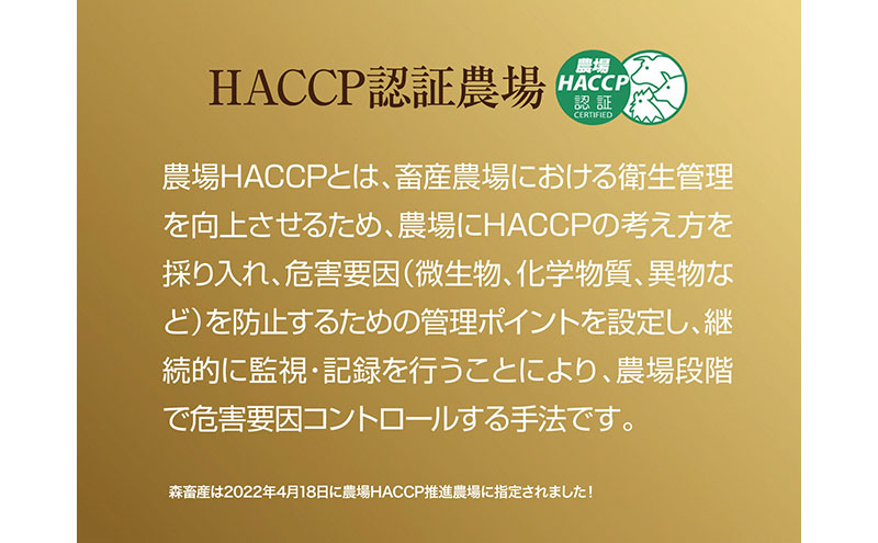 京都もり牛 ホルモン 500g 小腸