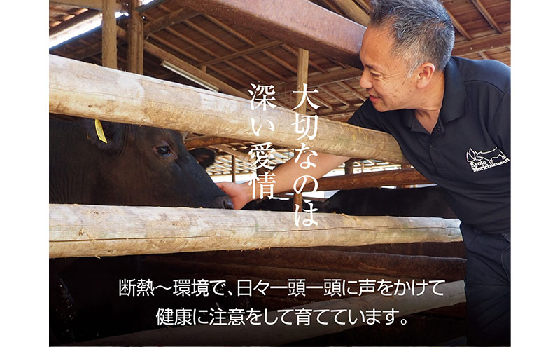 京都もり牛 切り落とし 1kg