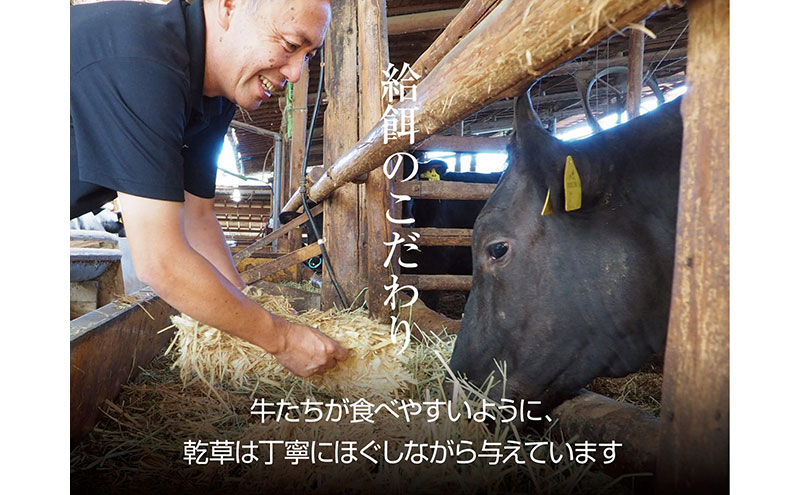 京都もり牛 切り落とし 1kg