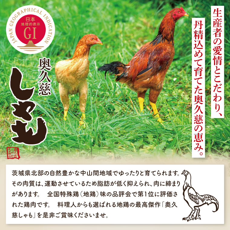 奥久慈しゃも鍋セット(3～4人前) お肉 鶏肉 軍鶏 ささみ もも肉 むね肉｜茨城県 大子町 奥久慈 袋田 鶏肉 地鶏 しゃも 鍋 セット つゆ お歳暮 贈答 贈り物 のし 熨斗 プレゼント 指定日 日時指定 （AR013）