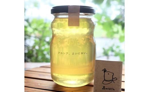 石川県産はちみつ あかしあ 400g ハチミツ 蜂蜜 加工品 調味料 食品 F6P-2816