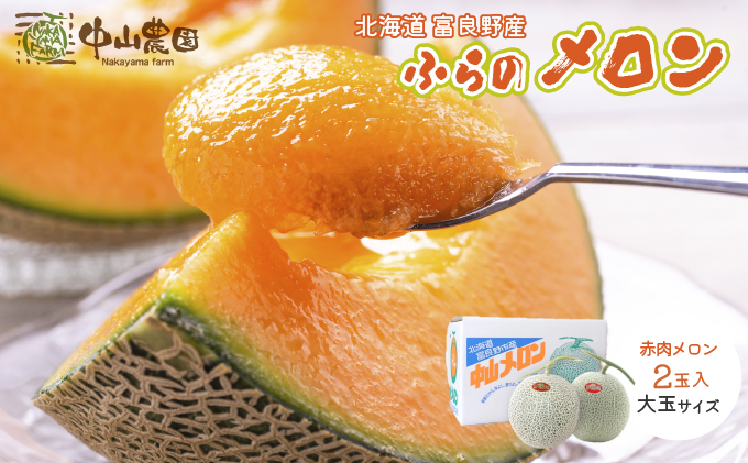 [セゾン限定]テレビで紹介されました![2025年夏発送]北海道 富良野産 赤肉メロン 2玉 大玉サイズ (中山農園) メロン フルーツ 果物 新鮮 甘い 贈り物 ギフト 道産 ジューシー おやつ ふらの ブランド 夏