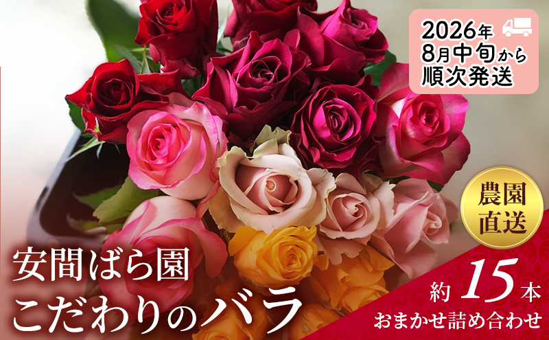【2026年8月中旬から順次発送】安間ばら園 こだわりの バラ おまかせ詰め合わせ約15本入 クール便 花 ギフト 誕生日 記念日 花束 プレゼント バラ フラワーギフト