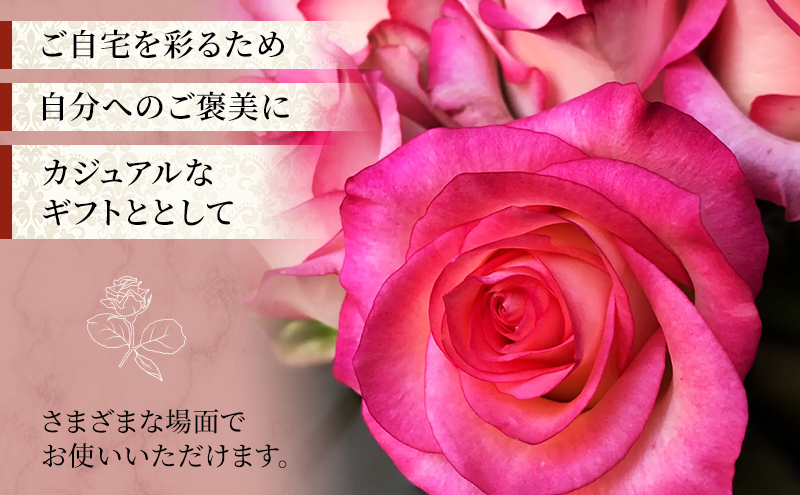 【2026年8月中旬から順次発送】安間ばら園 こだわりの バラ おまかせ詰め合わせ約15本入 クール便 花 ギフト 誕生日 記念日 花束 プレゼント バラ フラワーギフト