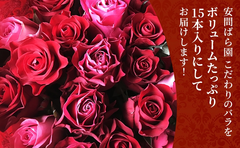 【2026年9月中旬から順次発送】安間ばら園 こだわりの バラ おまかせ詰め合わせ約15本入 クール便 花 ギフト 誕生日 記念日 花束 プレゼント バラ フラワーギフト