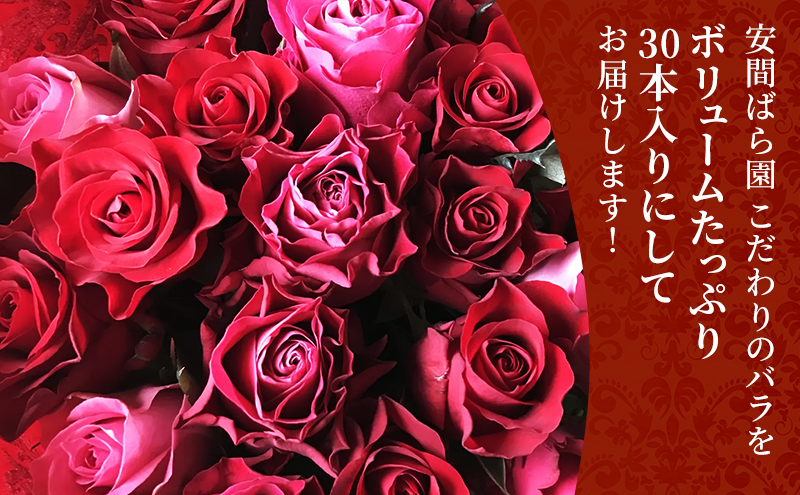 【2026年8月中旬から順次発送】安間ばら園 こだわりの バラ おまかせ詰め合わせ約30本入 クール便 花 ギフト 誕生日 記念日 花束 プレゼント バラ フラワーギフト