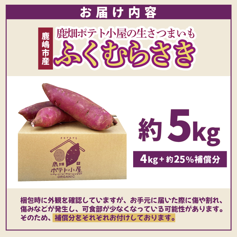 【先行予約】鹿畑ポテト小屋の生さつまいも ふくむらさき 計 約5kg（４kg+約25％補償分）【鹿嶋市 減農薬 熟成 貯蔵 サツマイモ 紫いも 甘い 5キロ 10000円以内 1万円以内】 (KBR-12)