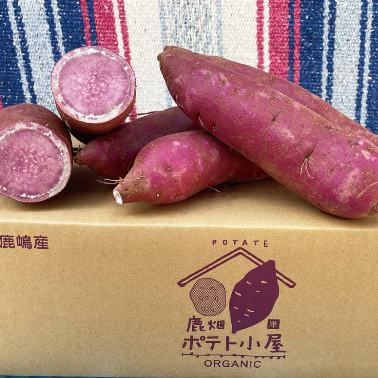 【先行予約】鹿畑ポテト小屋の生さつまいも ふくむらさき 計 約5kg（４kg+約25％補償分）【鹿嶋市 減農薬 熟成 貯蔵 サツマイモ 紫いも 甘い 5キロ 10000円以内 1万円以内】 (KBR-12)