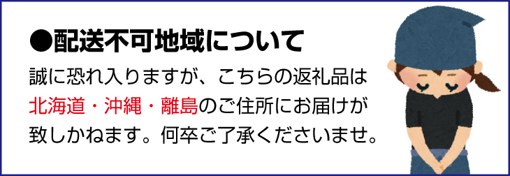 奈良県葛城市のふるさと納税 ［先行予約］【 いちご１２月から計4回定期便 】 ◆古都華　約３００g×２パック×４回 ◆ 【今朝摘みの丸笑いちご園】 ／ フルーツ いちご 苺 イチゴ 果物 くだもの 新鮮 完熟 朝採り 高級 希少品種 甘い