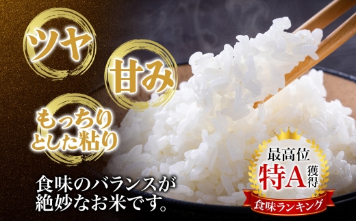 令和7年産米 北海道滝川産 特別栽培ゆめぴりか 5kg 12ヵ月連続 ｜北海道 滝川市 米 お米 白米 精米 ゆめぴりか ユメピリカ 特別栽培 定期便 連続お届け
