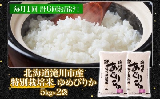 令和7年産米 北海道滝川産 特別栽培ゆめぴりか 10kg 6ヵ月連続 ｜北海道 滝川市 米 お米 白米 精米 ゆめぴりか ユメピリカ 特別栽培 定期便 連続お届け
