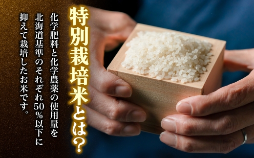 令和7年産米 北海道滝川産 特別栽培ゆめぴりか 10kg 12ヵ月連続 ｜北海道 滝川市 米 お米 白米 精米 ゆめぴりか ユメピリカ 特別栽培 定期便 連続お届け