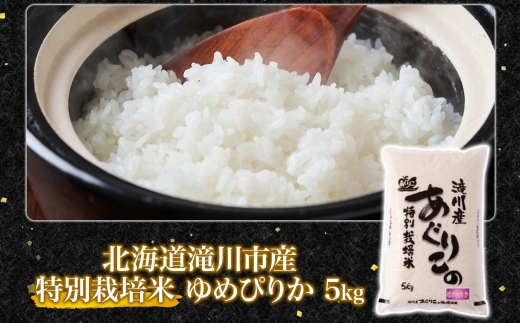 令和7年産米 北海道滝川産 特別栽培ゆめぴりか 5kg ｜北海道 滝川市 米 お米 白米 ご飯 ゆめぴりか ユメピリカ 特別栽培米 特別栽培 