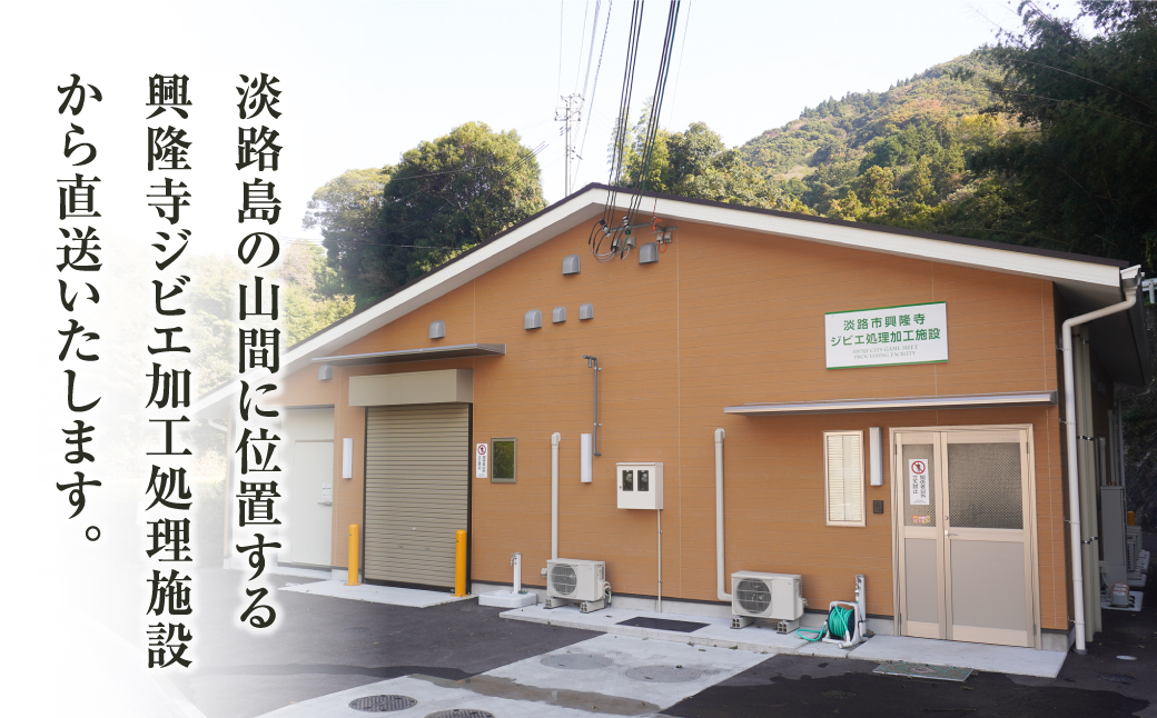 淡路産 猪肉スライス ５００ｇ　　[ジビエ 猪 ぼたん鍋 小分け]