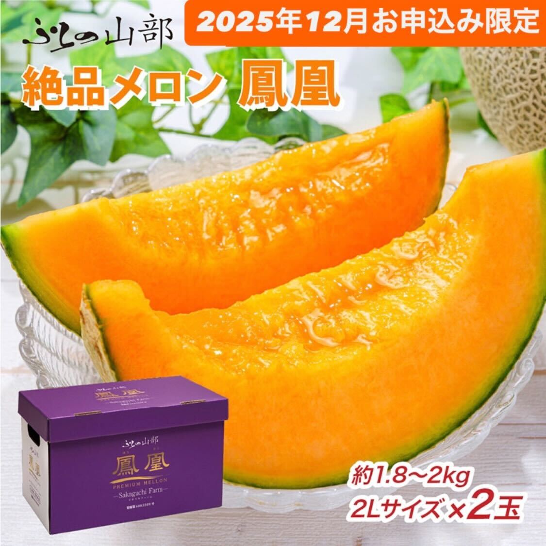 ykCxǖszy12ʉizӂ̎R̐iwPx 2Li1.8`2kgj×2ʁi_Yj[2026N6o] t[c ʕ VN Â 蕨 Mtg Y W[V[  ӂ uh 