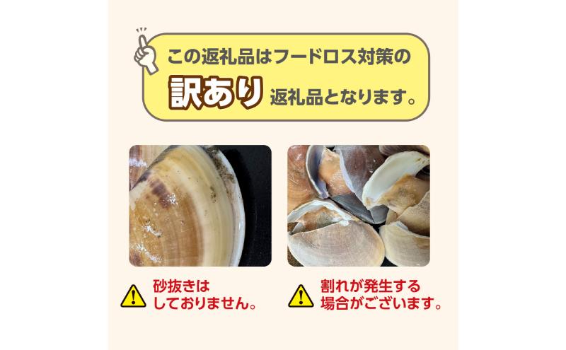 訳あり はまぐり 2kg 割れ 砂抜き無し SDGs ハマグリ 蛤 海鮮 魚介 海産物 国産 天然 産地直送 千葉県 九十九里