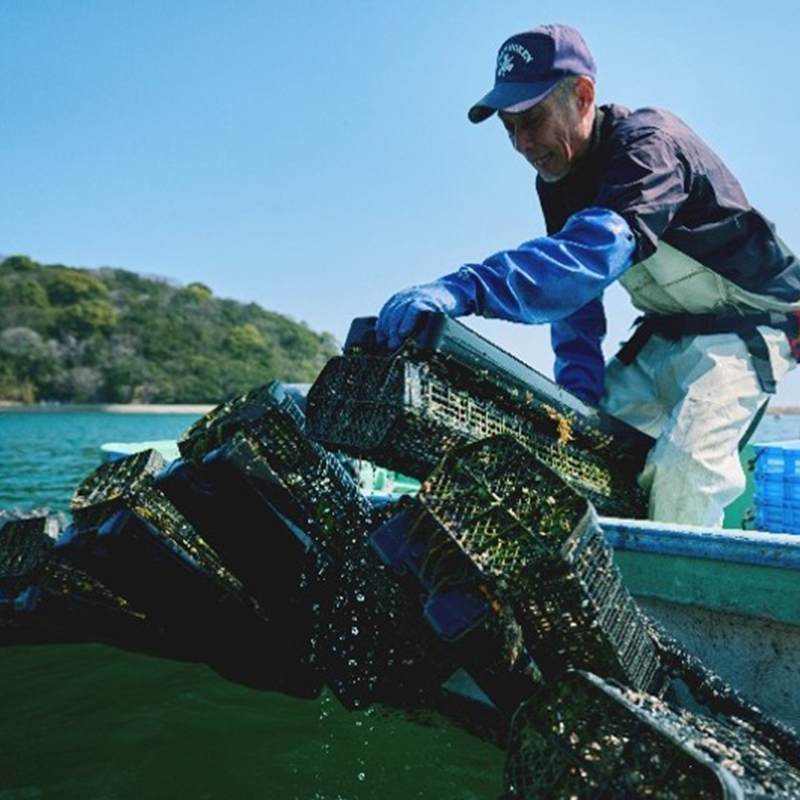 香川県東かがわ市産生食用牡蠣・ADOMILK 12個セット アドミルク あどみるく