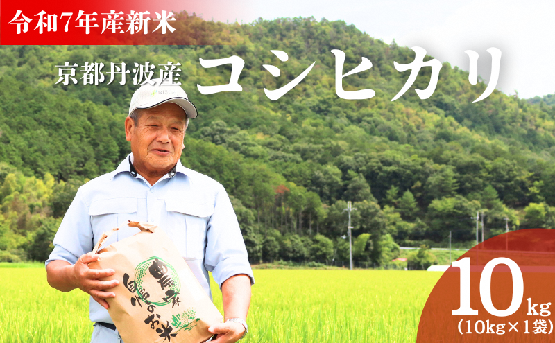 令和7年産新米 京都丹波産コシヒカリ 10kg　米 こしひかり 精米 白米 