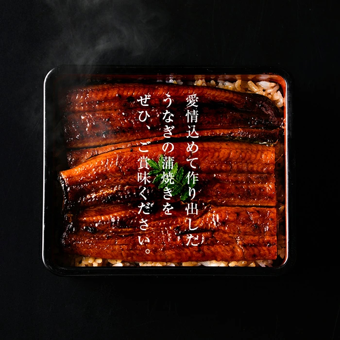 鹿児島県志布志市のふるさと納税 【お礼の品人気No1】霧島湧水鰻の蒲焼き 140g以上×5尾＜計700g以上＞ b2-048