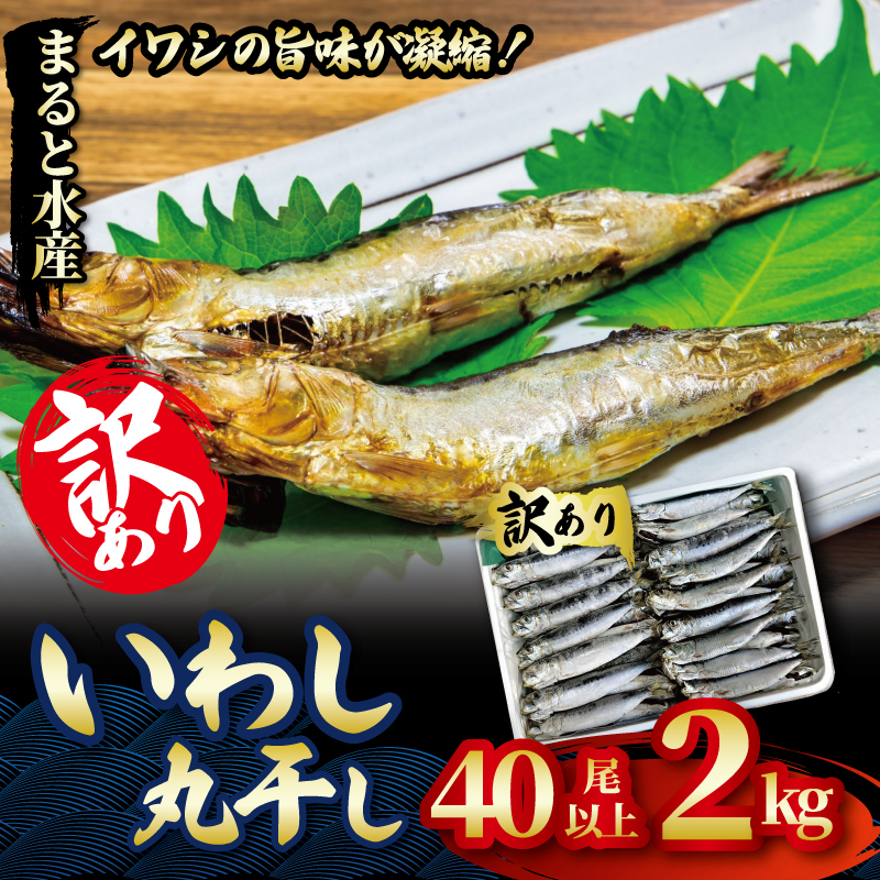 いわしの丸干し 訳あり 2kg イワシ 干物 まると水産