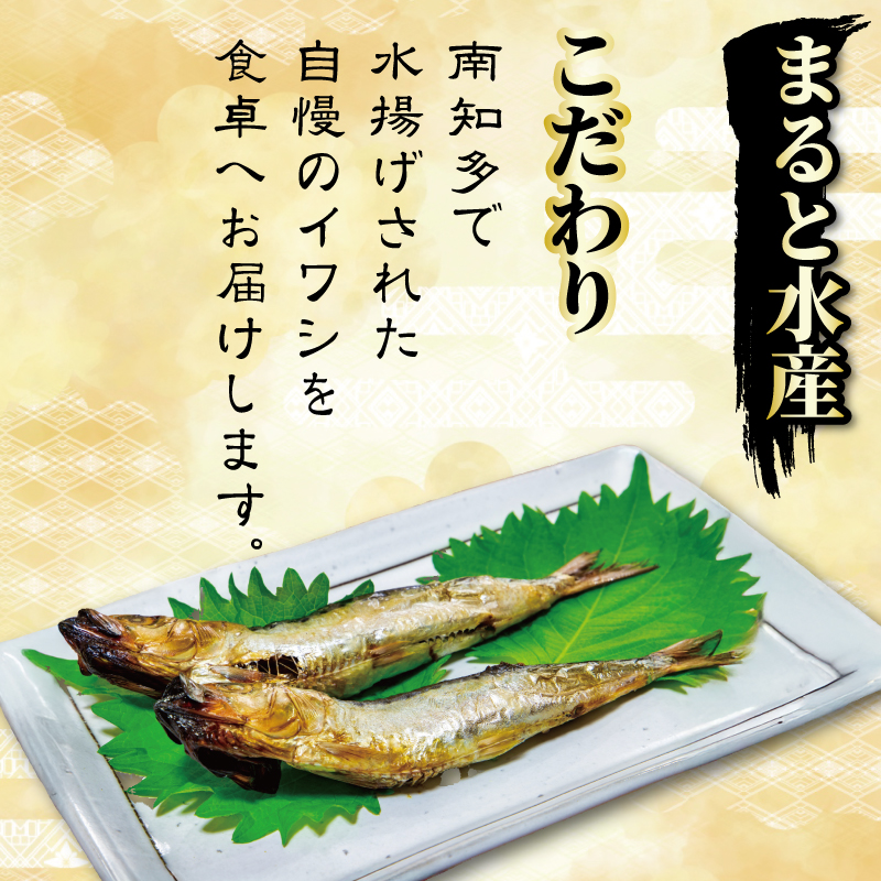 いわしの丸干し 訳あり 2kg イワシ 干物 まると水産