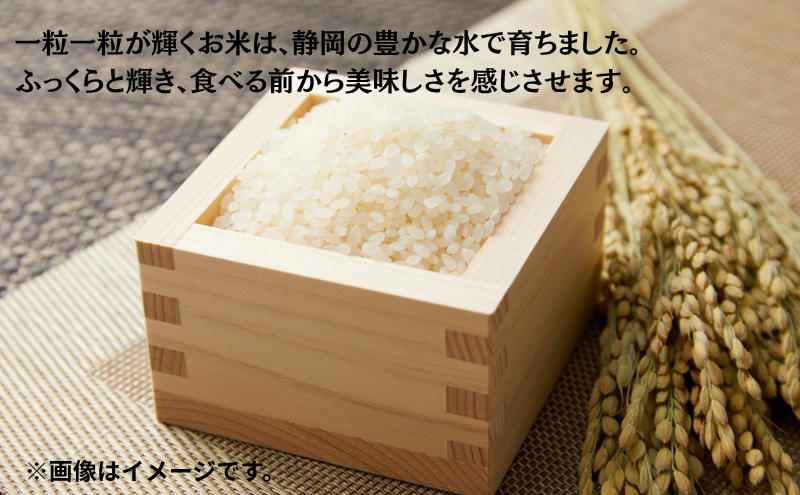 米 静岡コシヒカリ 5kg×2 コシヒカリ お米 白米 コメ 静岡県産