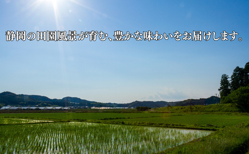 米 静岡コシヒカリ 5kg×2 コシヒカリ お米 白米 コメ 静岡県産