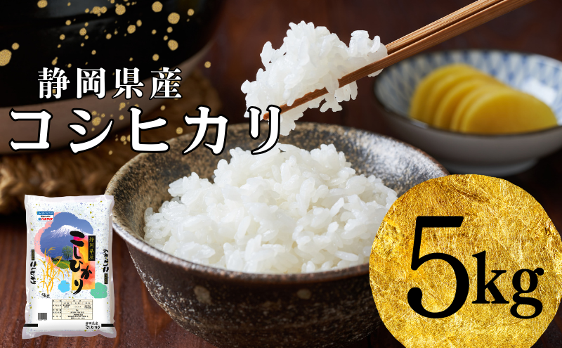 【静岡県袋井市】【2025年9月初旬より順次発送】米 静岡コシヒカリ 5kg コシヒカリ お米 白米 コメ 静岡県産