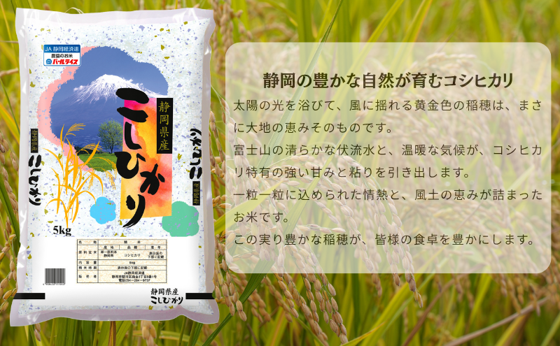 米 静岡コシヒカリ 5kg コシヒカリ お米 白米 コメ 静岡県産