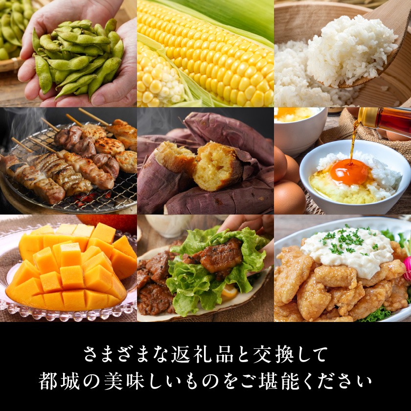 宮崎県都城市のふるさと納税 あとからセレクト【ふるさとギフト】1,000円_ASG-1000