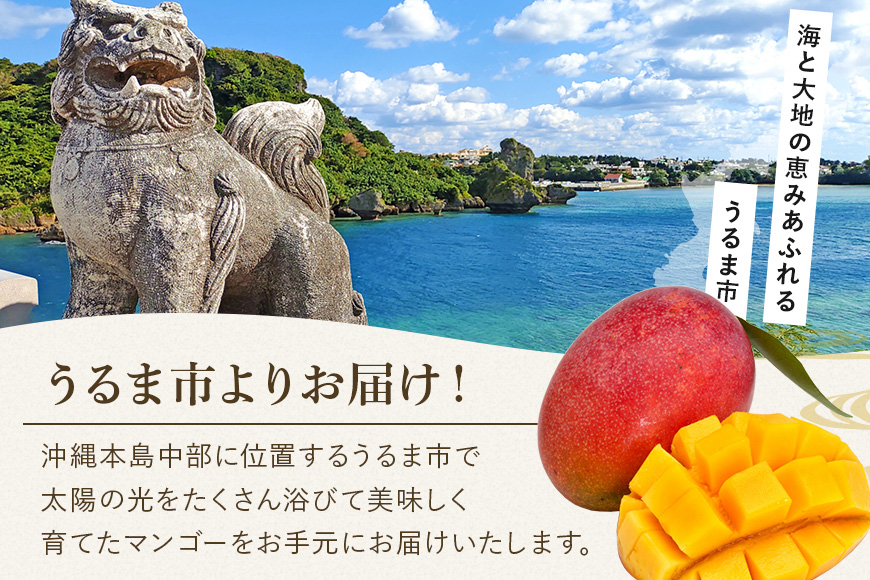 【 先行予約 2026年発送 】訳ありマンゴー 1kg